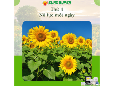 THỨ 4 - NỖ LỰC MỖI NGÀY