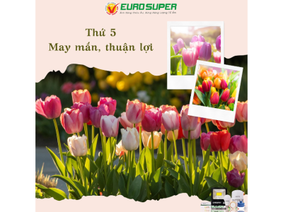 THỨ 5 - MAY MẮN, THUẬN LỢI