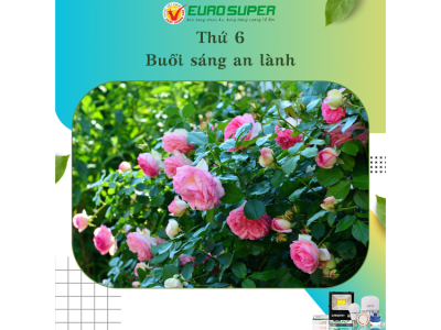 THỨ 6 - BUỔI SÁNG AN LÀNH