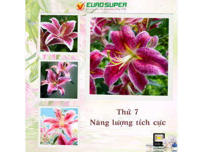 THỨ 7 - NĂNG LƯỢNG TÍCH CỰC