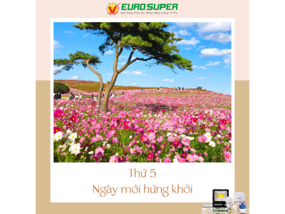 THỨ 5 - NGÀY MỚI HỨNG KHỞI