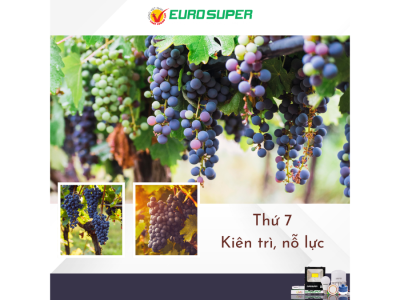 THỨ 7 - KIÊN TRÌ, NỖ LỰC