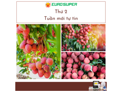 THỨ 2 - TUẦN MỚI TỰ TIN