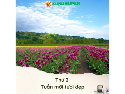 THỨ 2 - TUẦN MỚI TƯƠI ĐẸP