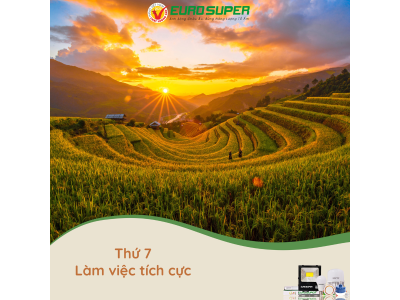 THỨ 7 - LÀM VIỆC TÍCH CỰC