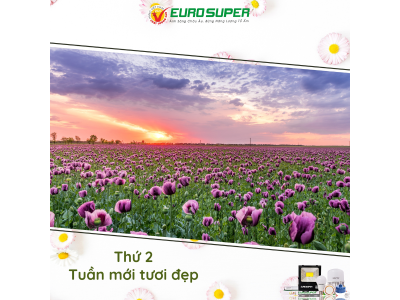 THỨ 2 - TUẦN MỚI TƯƠI ĐẸP