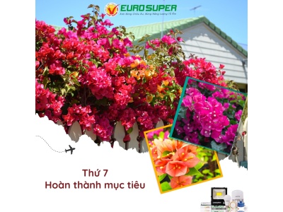 THỨ 7 - HOÀN THÀNH MỤC TIÊU