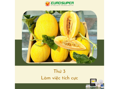 THỨ 3 - LÀM VIỆC TÍCH CỰC