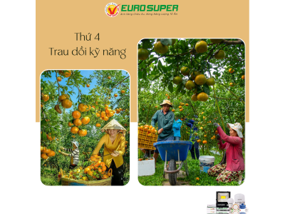 THỨ 4 - TRAU DỒI KỸ NĂNG