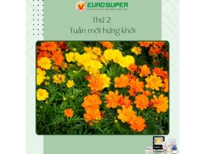 THỨ 2 - TUẦN MỚI HỨNG KHỞI