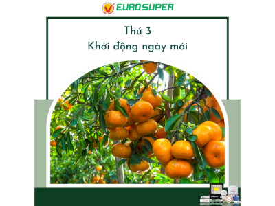 THỨ 3 - KHỞI ĐỘNG NGÀY MỚI
