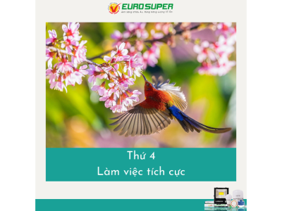 THỨ 4 - LÀM VIỆC TÍCH CỰC