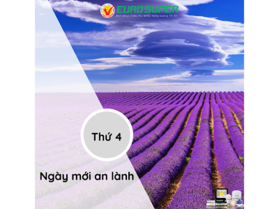THỨ 4 - NGÀY MỚI AN LÀNH