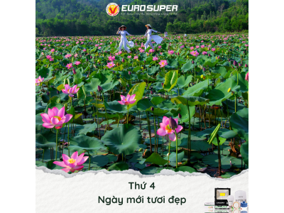 THỨ 4 - NGÀY MỚI TƯỚI ĐẸP