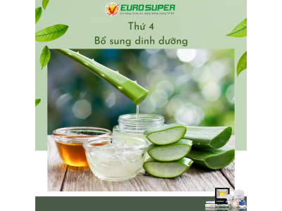 THỨ 4 - BỔ SUNG DINH DƯỠNG