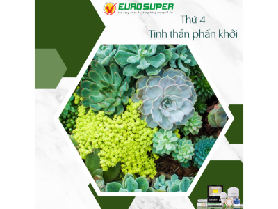 THỨ 4 - TIINH THẦN PHẤN KHỞI