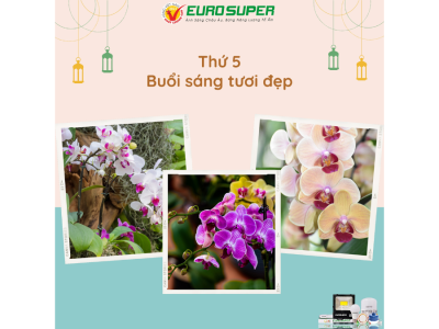 THỨ 5 - BUỔI SÁNG TƯƠI ĐẸP